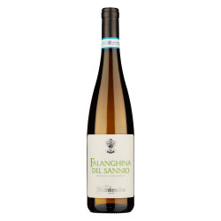 FALANGHINA MASTROBERADINO 2023