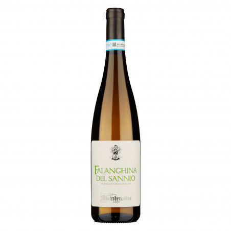 FALANGHINA MASTROBERADINO 2023