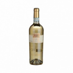 VIGNA CARACCI FALERNO DEL MASSICCIO 2017