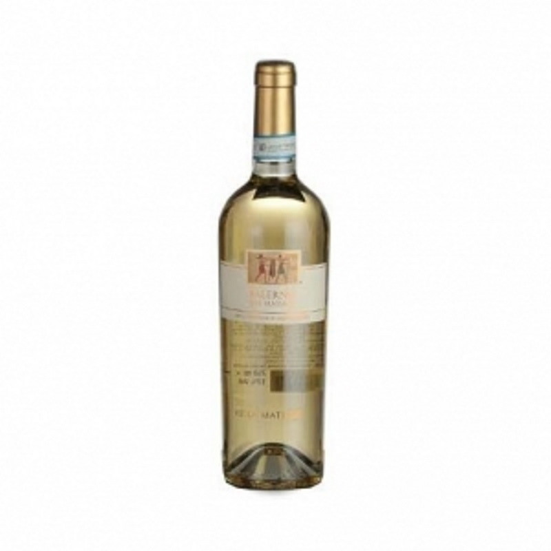VIGNA CARACCI FALERNO DEL MASSICCIO 2017