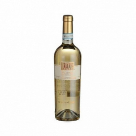 VIGNA CARACCI FALERNO DEL MASSICCIO 2017