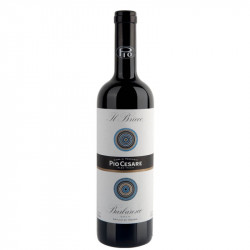 IL BRICCO PIO CESARE 2016