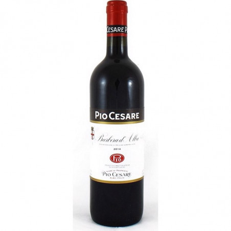 BARBERA D'ALBA PIO CESARE 2019