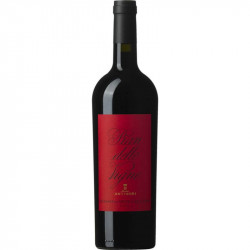 ROSSO DI MONT. PIAN DELLE VIGNE 19