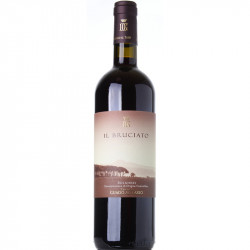 BRUCIATO BOLGHERI ANTINORI 2022