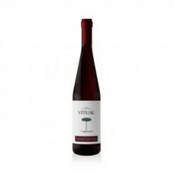 CABERNET SAU. SICILIA DOC VITESE BIOLOGICO 2018
