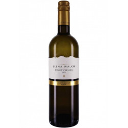PINOT GRIGIO  ELENA WALCH ALTO ADIGE 2023