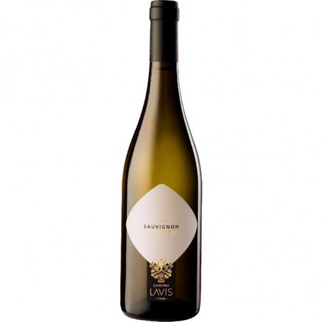 SAUVIGNON TRENTINO DOC LA VIS 2022