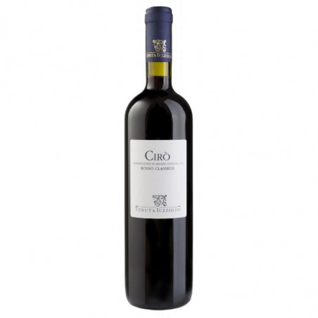 CIRO ROSSO TENUTA IUZZOLINI 2023