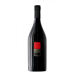 PIETRACALDA FIANO DI AVELLINO 2020