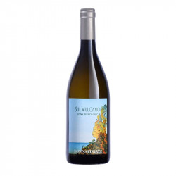 ETNA BIANCO SUL VULCANO DONNA FUGATA 2021