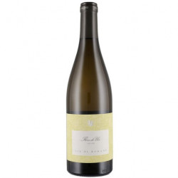 FLOR DE UIS  2019 VIE DE ROMANS