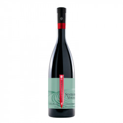 SENTIERO DEL VENTO VERMENTINO
