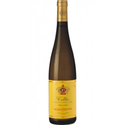 SAUVIGNON SCHIOPP.  2014