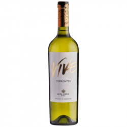 VIVE TORRONTES ALTA VISTA 2019