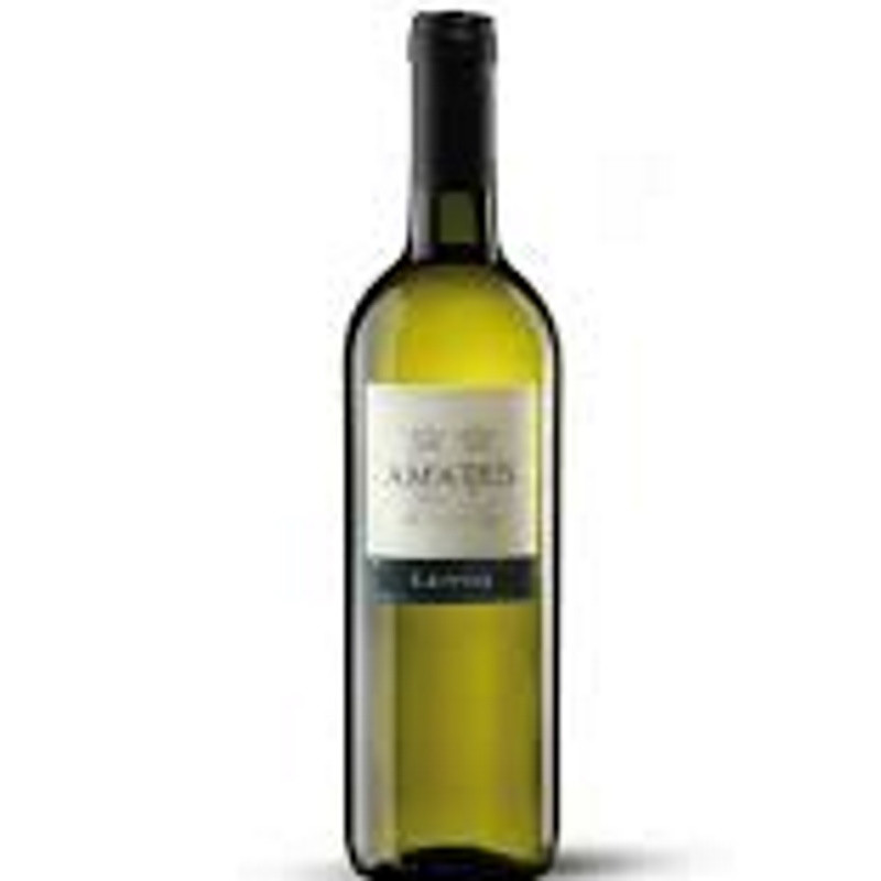 AMATUS BIANCO LENTO 2023 AMATUS BIANCO LENTO 2023