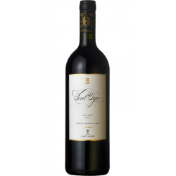CONT'UGO BOLGHERI 15
