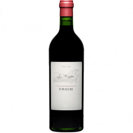 FORADORI  TOROLDEGO 2019