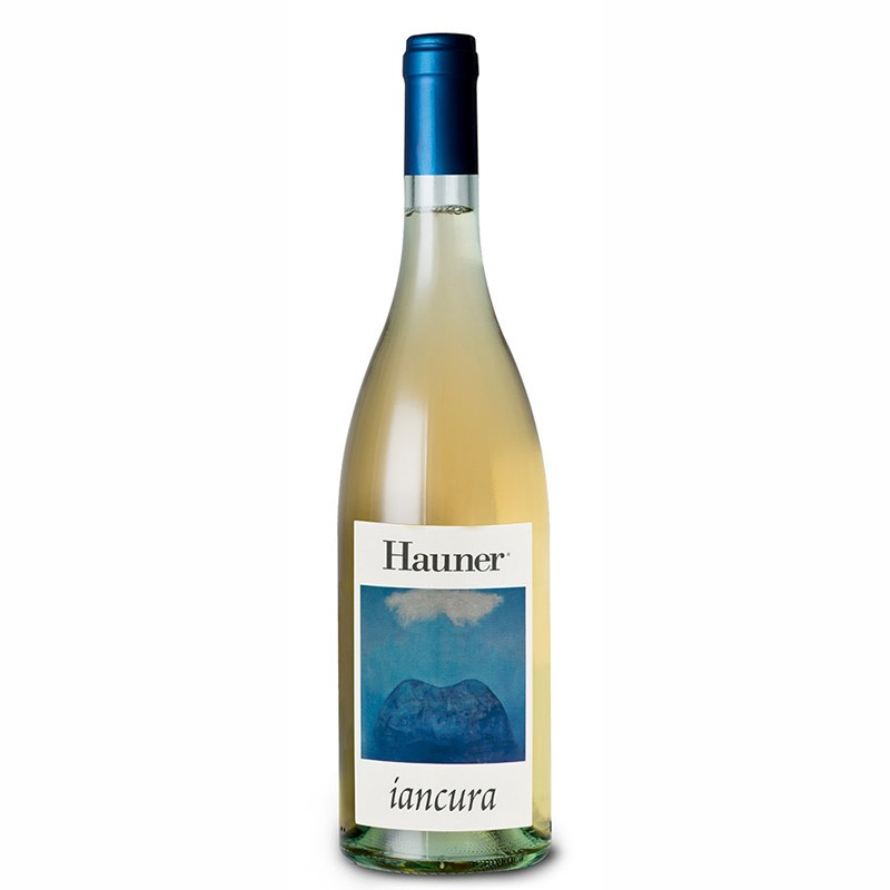 IANCURA HAUNER 2021 IANCURA HAUNER 2021