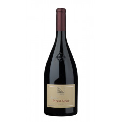 PINOT NERO TERLANO 2021