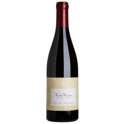 PINOT NERO VIE DI ROMANS 2016