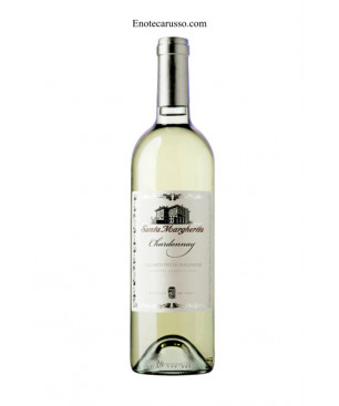 CHARDONNAY SANTA MARGHERITA 2021