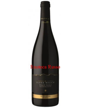 PINOT NERO ELENA WALCH ALTO ADIGE 2023