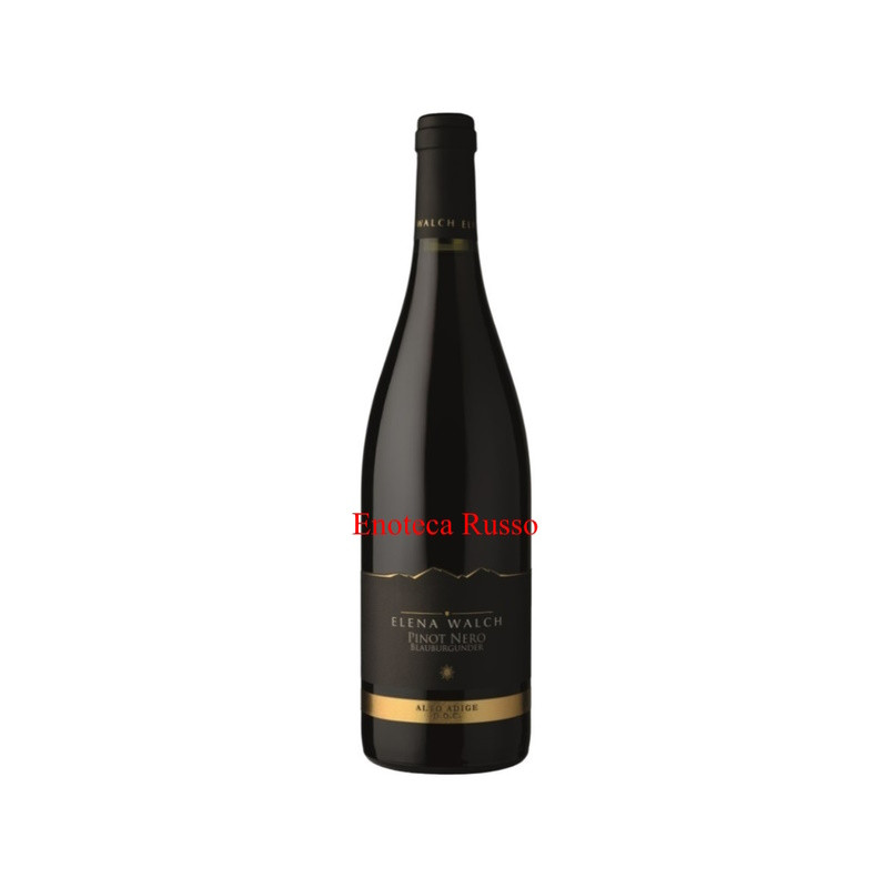 PINOT NERO ELENA WALCH ALTO ADIGE 2023 PINOT NERO ELENA WALCH ALTO ADIGE 2023
