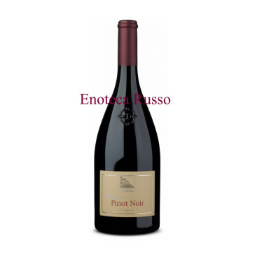 PINOT NERO TERLANO 2022