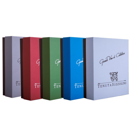 CONFEZIONE REGALO IUZZOLINI CON  2 CALICI