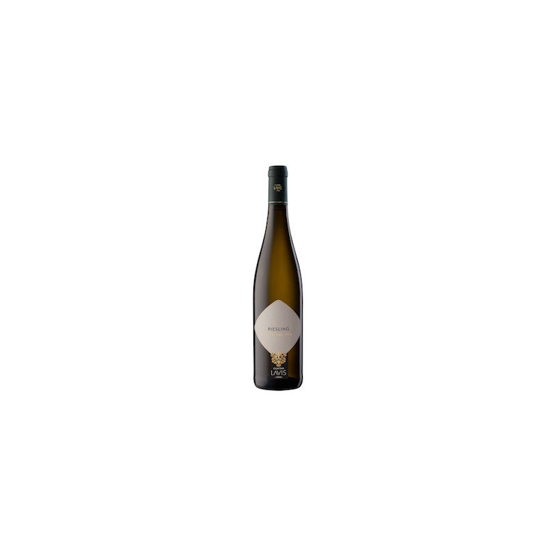 RIESLING TRENTINO DOC LAVIS 2023 RIESLING TRENTINO DOC LAVIS 2023
