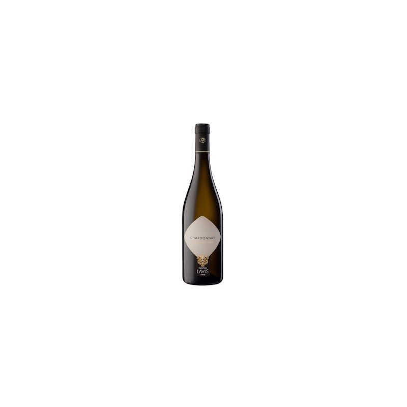 CHARDONNAY TRENTINO DOC LAVIS 2023 CHARDONNAY TRENTINO DOC LAVIS 2023